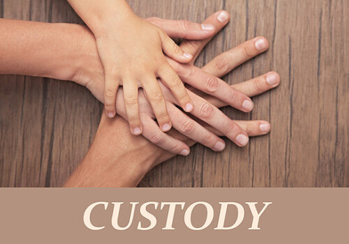 hands of different family members with the word custody