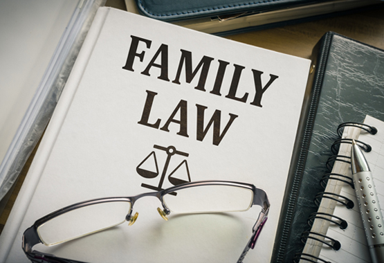 book about family law