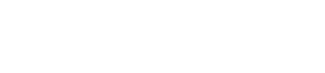 Borsberry Law Offices PC